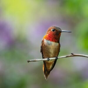 Meet your Posher, Sylvia